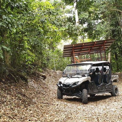 Panama Hartmann Geisha - Ultra Limited - Filter