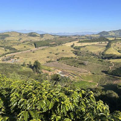 Brazil Santos Espresso