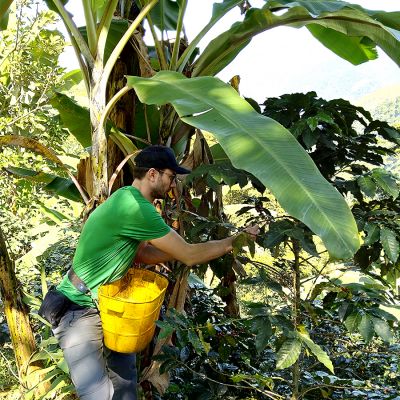 Garantie op Succes - Boot introductiepakket - 3-delig 250 gram Espresso