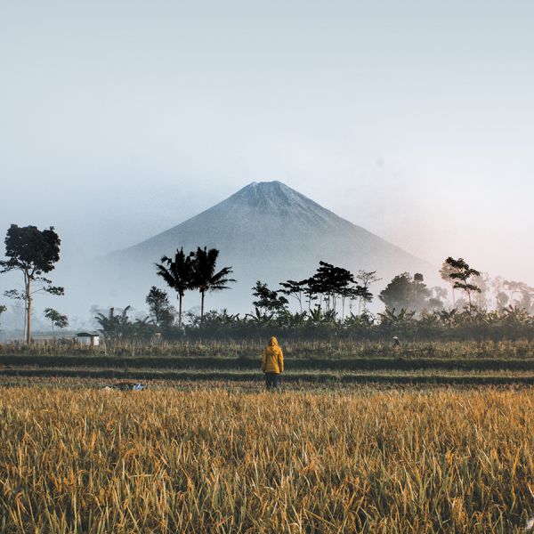 Garantie op Successen - Boot introductiepakket - 3-delig 1 Kg Espresso