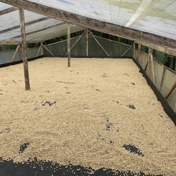 Colombia La Villa de Don Juan Espresso - Limited Edition