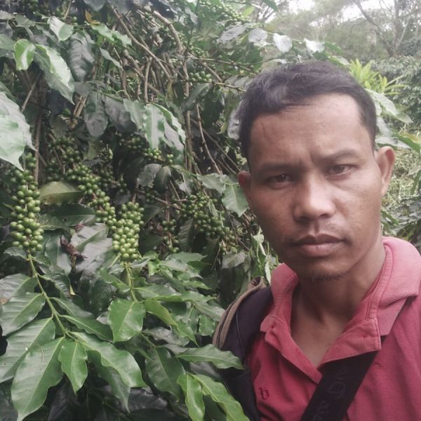 Indonesia Sumatra Organic Filter
