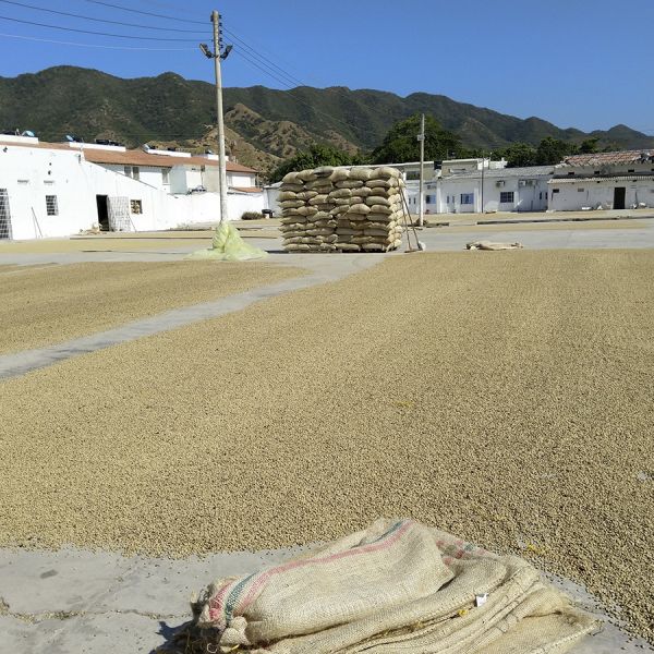Colombia Kachalu Organic Filter