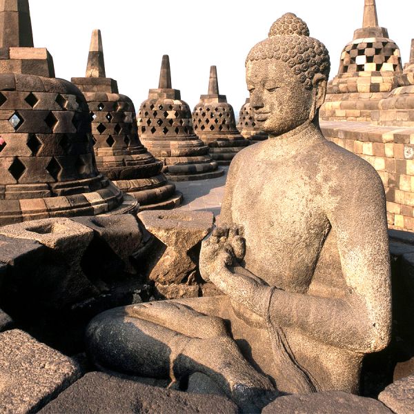 Garantie op Succes - Boot introductiepakket - 3-delig 250 gram Espresso