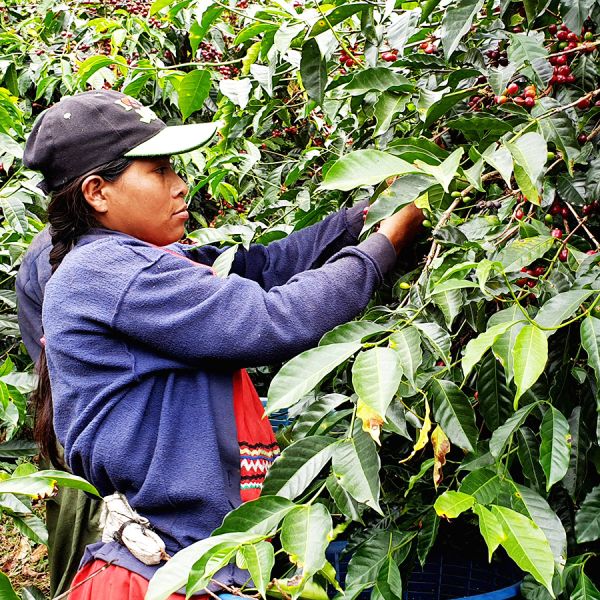 Langzaam maar zeker - Boot Filterpakket - 3-delig 250 gram
