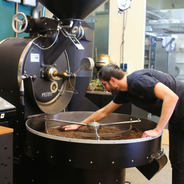 Mystery Dark Roast Espresso