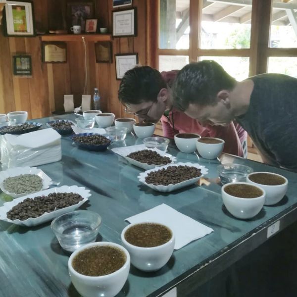 Panama Hartmann Birdsong Espresso