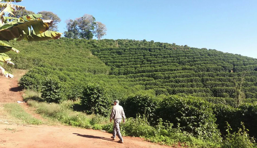 Brazil Santos - Single Origin smaak favoriet